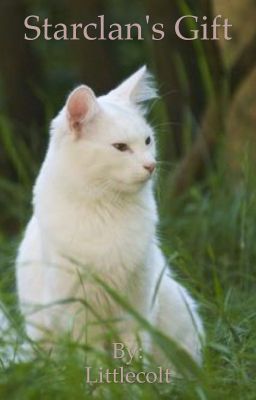 Starclan's Gift A Warrior Cat RP