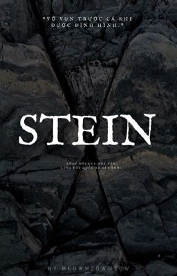 Stein: Cuộc đời sỏi đá