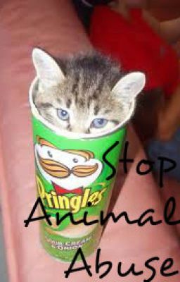 Stop Animal Abuse