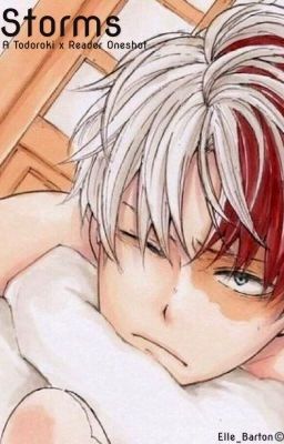 Storms - A Todoroki Shouto x Reader Oneshot