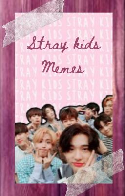 Stray kids memes