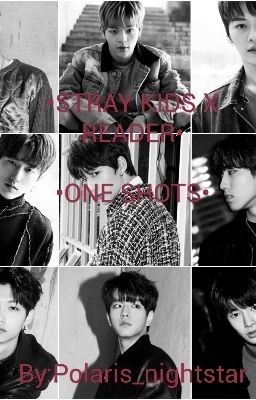 °Stray kids x reader one shots° //DISCONTINUED//