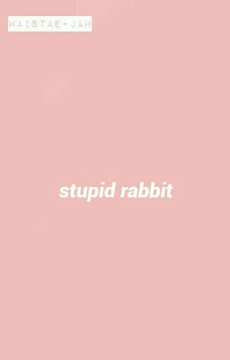 Stupid Rabbit
