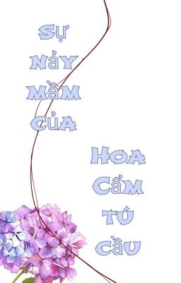 Sự Nảy Mầm Của Hoa Cẩm Tú Cầu 