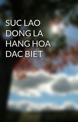 SUC LAO DONG LA HANG HOA DAC BIET