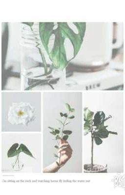 •| Suga imagine |• Sunflower Jar 