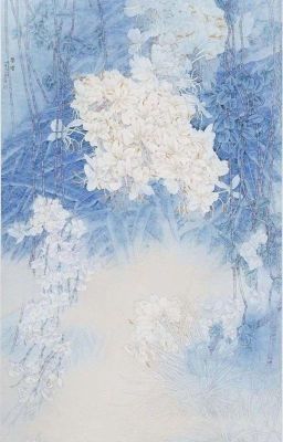 sunsun | hoa cúc trắng