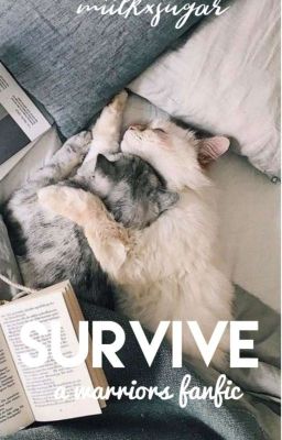 survive ♡ a warriors fanfic