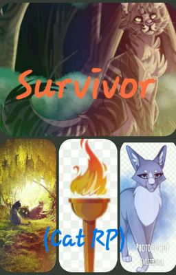 Survivor (Cat RP)