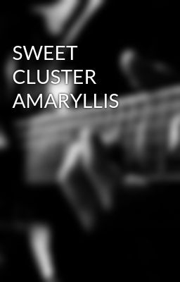 SWEET CLUSTER AMARYLLIS