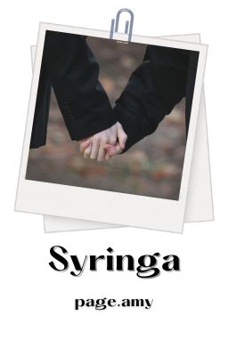 Syringa