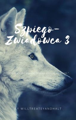 Szpiego-zwiadowca 3  [ ODWIESZONE]