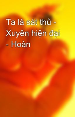 Ta là sát thủ - Xuyên hiện đại - Hoàn