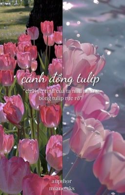 Taekook • Cánh Đồng Tulip