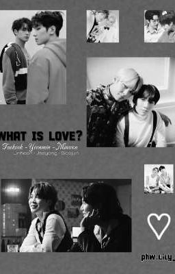 | TaeKook, YoonMin, MinWon, SooJun, LinHoon, JaeYong | WHAT IS LOVE? 