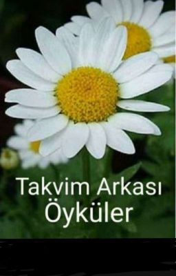 Takvim Arkası Öyküler 