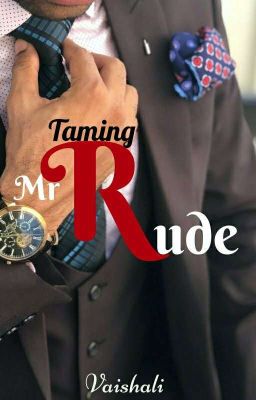 Taming Mr.Rude