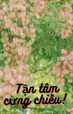 Tận tâm cưng chiều!