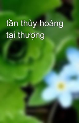 tần thủy hoàng tại thượng