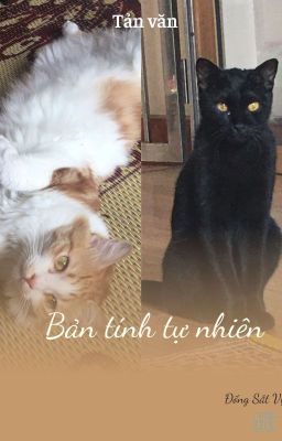 [Tản văn] Bản tính tự nhiên