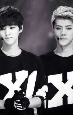 [TaoHunHan][Long Fic] 's Love