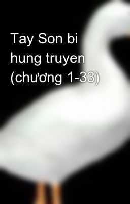 Tay Son bi hung truyen (chương 1-33)