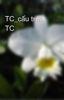 TC_cấu trúc TC