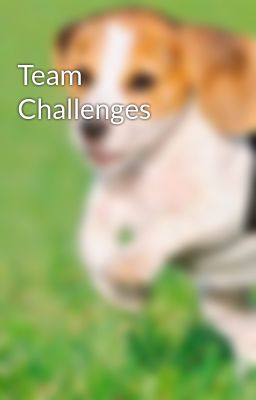 Team Challenges