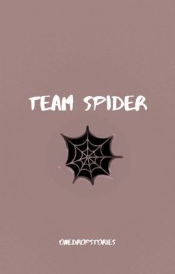 team spider