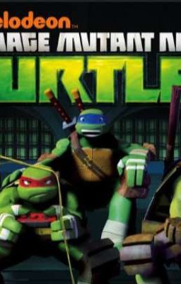 Teenage Mutant Ninja Turtles 2012 (Raph x reader)