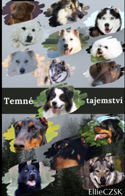 Temné tajemství (Pozastaveno)