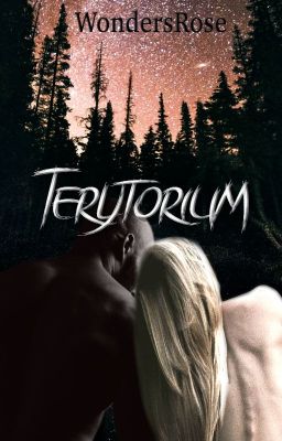 Terytorium