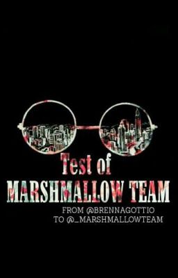 Test of Marshmallow Team