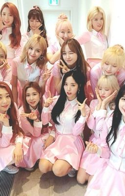 [Text] WJSN's Chatbox