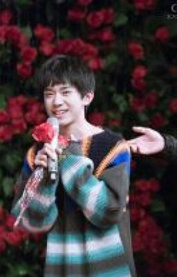 [TFBOYS] ƯỚC MƠ CỦA MỘT FANGIRL