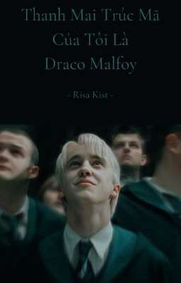 Thanh Mai Trúc Mã Của Tôi Là Draco Malfoy | Draco Malfoy X Y/N