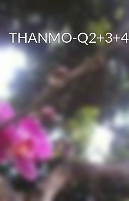 THANMO-Q2+3+4