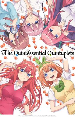 The 3rd Meets the Five (Quintessential Quintuplets Story)