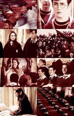 The adventures of the Marauders