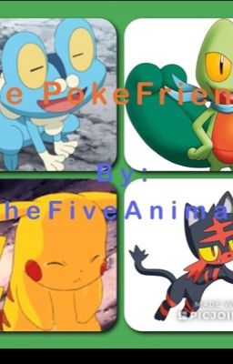 The adventures of the Poké friends