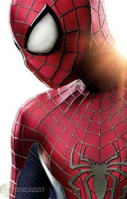 The Amazing Spider-Man: Defender of New York