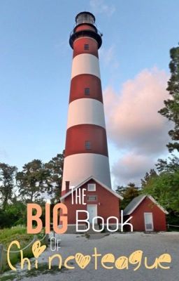 The Big Book of Chincoteague