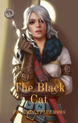 The Black Cat (School of the Cat Witcher Male Reader x Ciri)