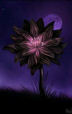 the black lotus princess