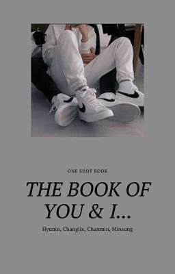 The Book Of You and I {Hyunin, Changlix, Chanmin, Minsung one shots}