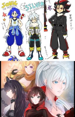 The Brothers & The Huntresses (RWBY Harem x Male Sonic Reader)