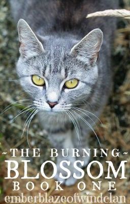 The Burning- Book One: Blossom [DRAFT]