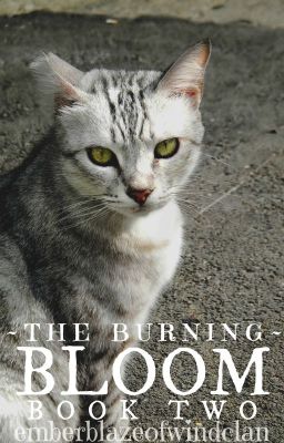 The Burning- Book Two: Bloom [DRAFT]