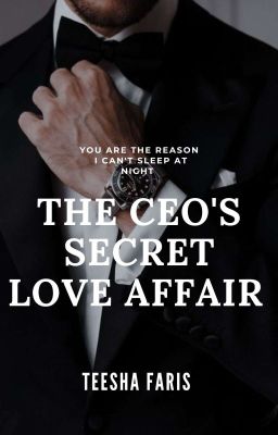 The CEO's Secret Love Affair 