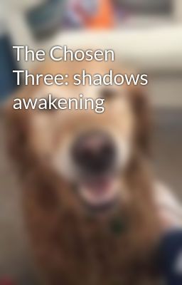 The Chosen Three: shadows awakening